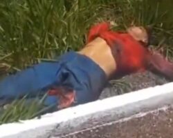 Fatal head-on collision between motorcyclist and truck