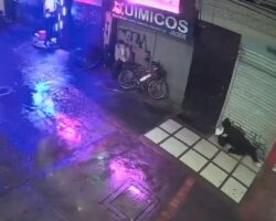 Guard shot dead moments after receiving extortion note