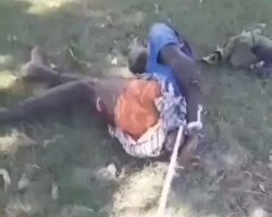 Haitian gangster hacked to death with machetes and axe
