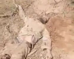 Jihadists ambush Russian Africa Corps in Mali