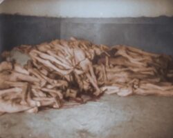 Liberation of Bergen-Belsen captured in colorized historical footage