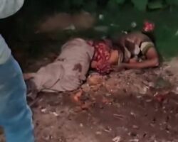 Man fatally crushed by train