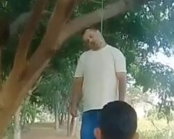 Man found hanged from tree