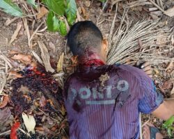 Man hacked to death with machete during acai berry gathering