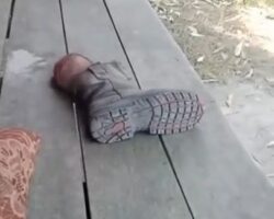 Motorcyclist loses leg in horrific crash