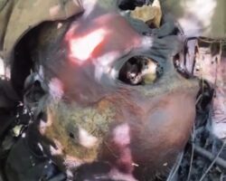 Mummified body of Russian soldier found on battlefield