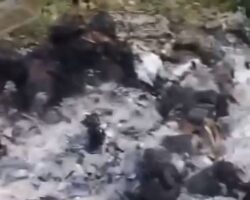 Myanmar soldiers burned to crisp