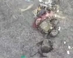 Russian soldier blown apart by drone strike #8