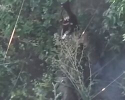 Russian soldier commits suicide on battlefield #13