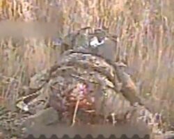 Russian soldier eliminated by Ukrainian drone #6