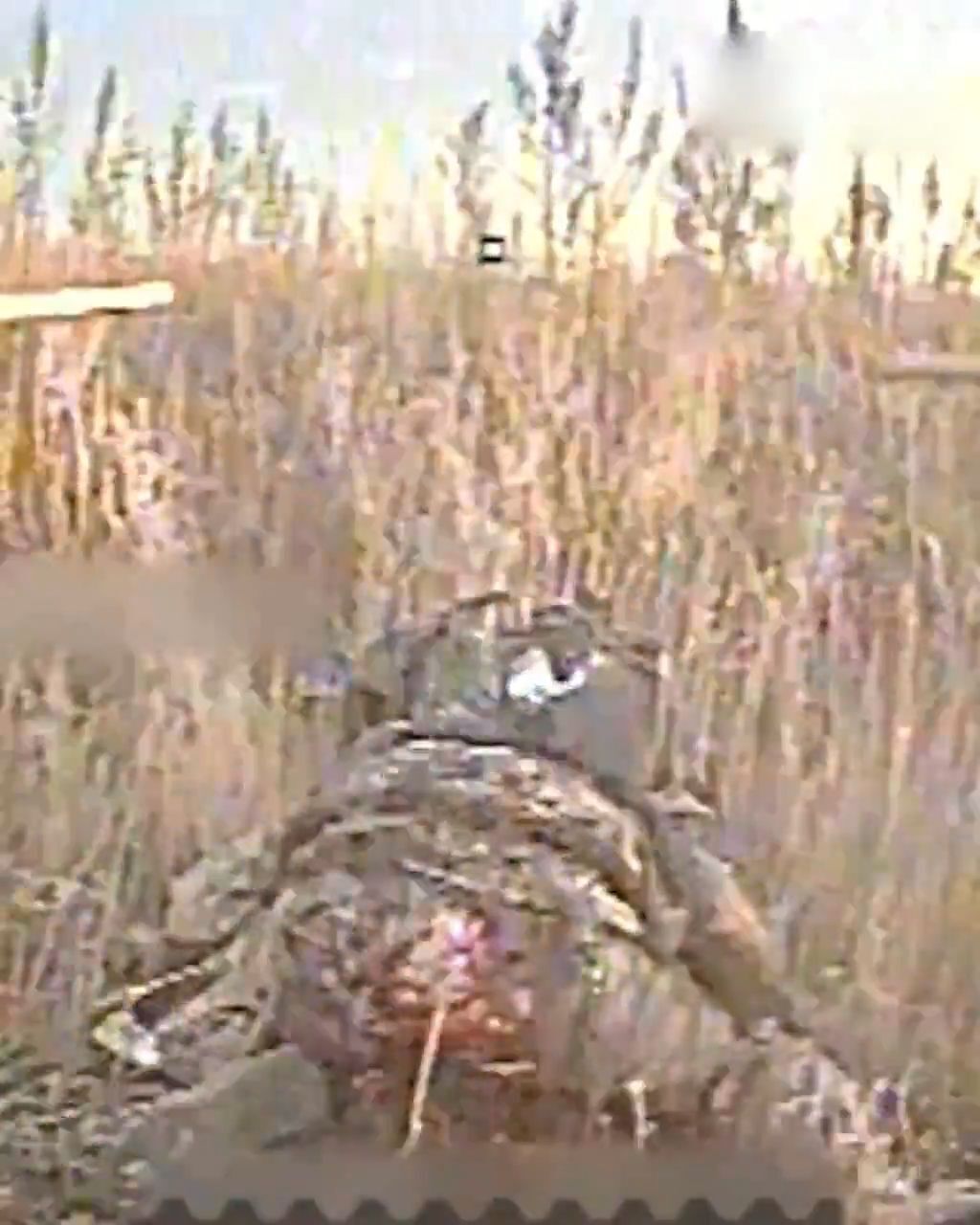 Russian soldier eliminated by Ukrainian drone #6 • GoreCenter