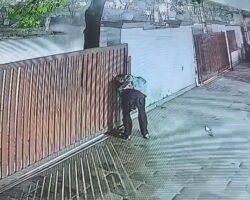 Security guard crushed to death by falling sliding gate