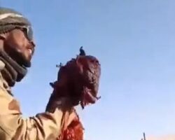 Sudanese soldier takes entrails of RSF fighter as war trophy