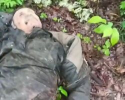 Tree line strewn with bodies of Russian soldiers