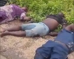 Twelve killed in horrific crash in Nigeria
