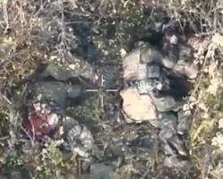 Two Russian soldiers eliminated by Ukrainian drone