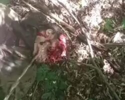 Ukrainian soldier urinates on body of fallen Russian soldier