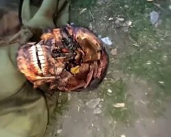 Ukrainian war losses