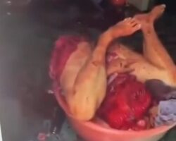 Vietnamese sicko butchered several members of his family