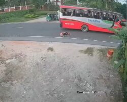 Woman crushed by bus #2