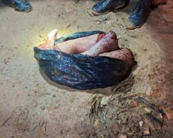 Young man murdered and dismembered his wife’s relative