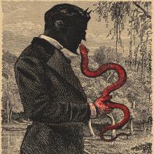 Profile photo ofBlackMamba