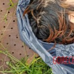 Various female body parts found in Mexico