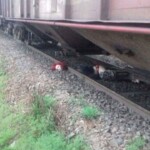 19-year-old girl placed her head under a train