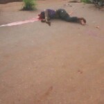 A traffic accident deprived her of her head