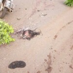 A traffic accident deprived her of her head