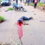 A traffic accident deprived her of her head