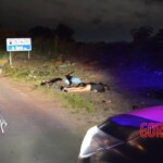 Charle Silva Barreto