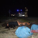 Charle Silva Barreto