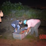 Charle Silva Barreto