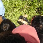 Female body parts found