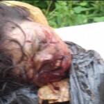 Female body parts found