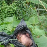 Female body parts found