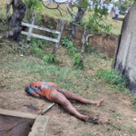 Headless 19 year old brazilian shemale