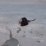 Headless body of a woman found in Manaus