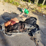 Headless body of a woman found in Manaus