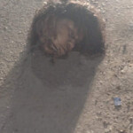 Headless body of a woman found in Manaus