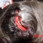 Teenage girl cut in half after jumping off a building