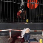 Teenage girl cut in half after jumping off a building