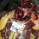 Traffic accident took her head off