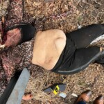 Tragic accident in Mexico