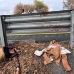 Tragic accident in Mexico