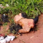 Young Brazilian girl murdered and set on fire