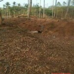 Body of a 19-year-old student was found in the forest