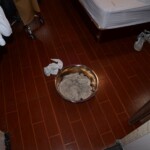 Suicide by poisoning