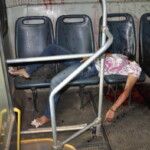 Vitória Raniely Cardoso de Lima